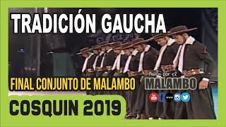 TRADICION GAUCHA Conjunto de Malambo Final Cosquin 2019 [upl. by Biddick]