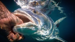 Fishing for GIANT Roosterfish in Costa Rica [upl. by Erdnassak]