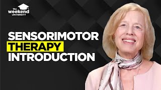 Sensorimotor Psychotherapy An Introduction  Dr Pat Ogden PhD [upl. by Bradford]