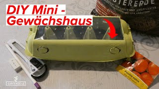 DIY Mini Gewächshaus selber bauen  So EINFACH geht es  KOMPLETTE Anleitung [upl. by Mond]