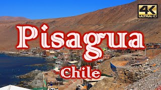 Turismo en PISAGUA – CHILE ¿Qué visitar 4K [upl. by Annohsal]