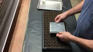 Planting pelleted letuce seed with the IMP 16128P [upl. by Etnovaj906]