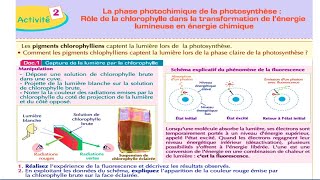 La phase photochimique de la photosynthèse rôle de la chlorophylle شرح بالداريجة svt 1Bac sc ex [upl. by Alex]