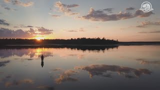 Saving the Gulf of StLawrence aster in Kouchibouguac [upl. by Neill197]