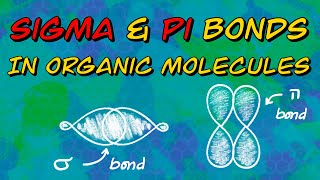 Sigma and Pi Bonds in Organic Molecules [upl. by Sileas]