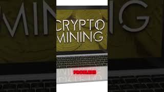 Bitcoin Mining Explained How Miners Secure the Network [upl. by Yt960]