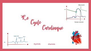 Le cycle cardiaquela pompe cardiaque Physiologie cardiovasculaire [upl. by Affrica]