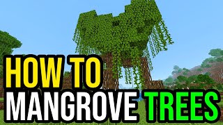 How To Grow amp Use Mangrove Trees In Minecraft [upl. by Ettennat]