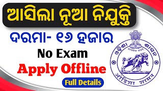 No Exam  Direct ଚାକିରୀ  New Vacancy under Odisha Govt 2024  Odisha Govt Job 2024 [upl. by Reames]