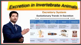 lec6excretion in invertebrates class 12 by pgc [upl. by Wagstaff679]