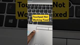 Touchpad Not working Fixed Shorts [upl. by Telracs]