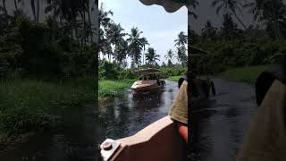 Back water drive in Kerala [upl. by Finer371]