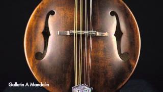 Weber Fine Acoustic Instruments Gallatin A Mandolin Video [upl. by Terese]