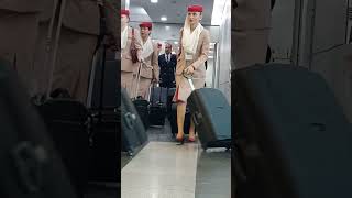 PILOTFlight Attendants of EMIRATES AIRLINES emiratesairlines cabincrew youtubeshorts Gatchie Jr [upl. by Sidnala436]