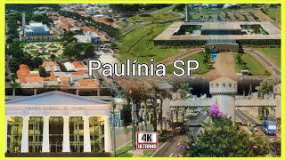 Paulínia SP Descubra por que Paulínia é uma das cidades mais ricas do Brasil [upl. by Onirefes850]