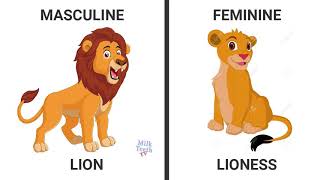 Learn Genders in English with picturesLearn masculine Feminine Gender [upl. by Elson188]