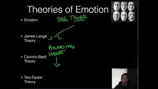 AP Psychology  Emotions  Part 1  Theories of Emotions [upl. by Nawat811]