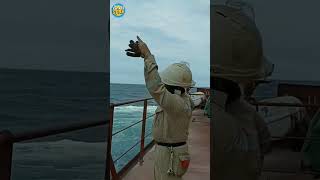 ship workers always alert to tsunami 😍shortsviralyoutubeshortsshortvideosshipvideostsunami [upl. by Hasheem]