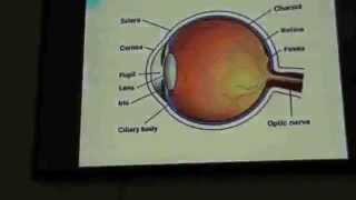 Ophthalomology  DrMohamed Khfagy  Errors of Refraction  Part 1 [upl. by Maag324]