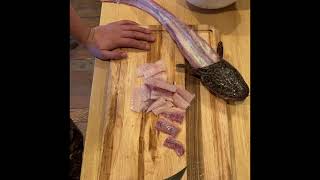 How to fillet a Burbot [upl. by Olson479]