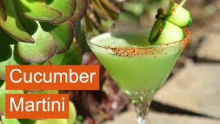 How to make the best CUCUMBER MARTINI  easy vodka recipe  Cucumber cocktail [upl. by Faxan661]