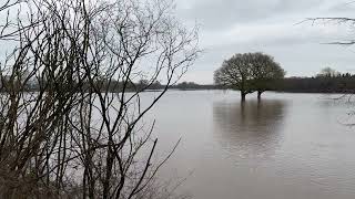 4K FRIGHT CHRISTMAS  Europe Under Water 2023 extreme flooding Emlichheim Germany [upl. by Earla]