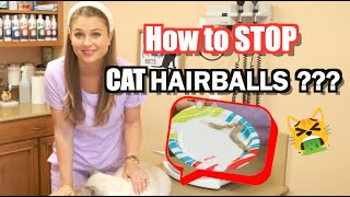 Hairball Control and Treatment for Cats Plus what Supplements to give MUST WATCH [upl. by Loy151]