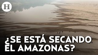 Sequía impacta al río Amazonas en Brasil ¿qué está pasando [upl. by Andrien]