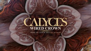 Calyces  Wired Crown Album Track [upl. by Aneeles905]