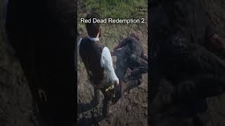 Red Dead Redemption 2 hunting [upl. by Pellegrini]