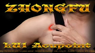 LU1  Zhongfu Acupoint  Middle Palace Acupoint  Lung meridian  Acupressure VIKUDO [upl. by Ygief998]