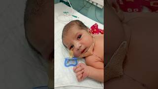 Cute baby 🍼🥰😍Vasuhealthcareq8t cute baby newlyborn youtubeshorts shorts nicu [upl. by Chessy]