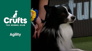 Agility  Crufts Singles Heat Agility Part 2  ​Crufts 2022 [upl. by Byram692]