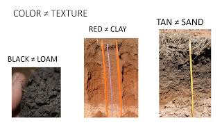 Soil Color [upl. by Hirschfeld]