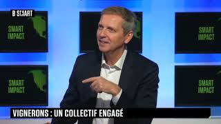 SMART IMPACT  Un collectif de vignerons engagé [upl. by Manwell]