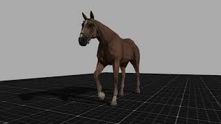 Horse Walk Cycle Animation  Realistic Horse Animation [upl. by Ardra]