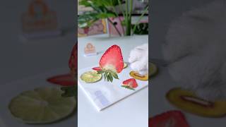 Strawberries make a refrigerator sticker Its beautifulcatofyoutube cooking [upl. by Hannazus786]