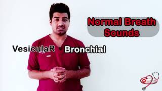 Breath sounds  Lung Sounds  Wheezing  Crackling Rales Stridor Rhonchi clinicaltalks [upl. by Neryt]