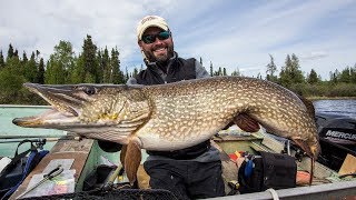 GIANT Pike in Manitoba — Full Fight ✅ [upl. by Drahsar]