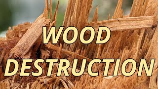 Wood Destruction Sound Effects  Shattering and Breaking Wood [upl. by Damle]