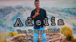 Lirik lagu Adelia [upl. by Craig]