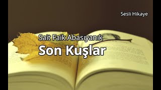 Son KuşlarSait Faik Abasıyanık Sesli HikayeYüksek Ses Kalitesi [upl. by Henryson714]