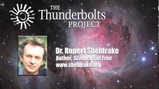 Special Feature Rupert Sheldrake on the TED controversy [upl. by Oliric]