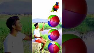 Rounding Ball to Parrot Pigeon Peacock Duck  Birds Name Magic Video [upl. by Seessel973]