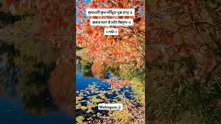 Gurbani Shabad Status GurbaniStatusl WhatsApp Status Video shorts gurbanistatus ytshorts viral [upl. by Audres]