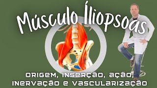 Músculo Íliopsoas Ilíaco Psoas maior e Psoas menor  Origens inserções ações inervações e vasos [upl. by Aiciram737]