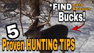 5 Late Season Deer Hunting Tips [upl. by Aletsirc]