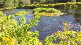 Sheepscot River Canoe Trip Below the Dam to the Bend [upl. by Lelith]