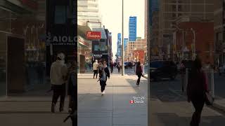 On Yonge Street 🇨🇦 downtown toronto shorts [upl. by Lud446]