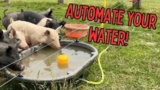 Jobe Megaflow Valves JMFV20DLT 82026 Megaflow Valve 34quot Review  Automate your Livestock water [upl. by Nehpets988]